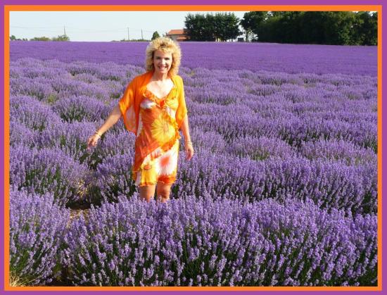 BISOUS A TOUTES & TOUS  (été 2015)